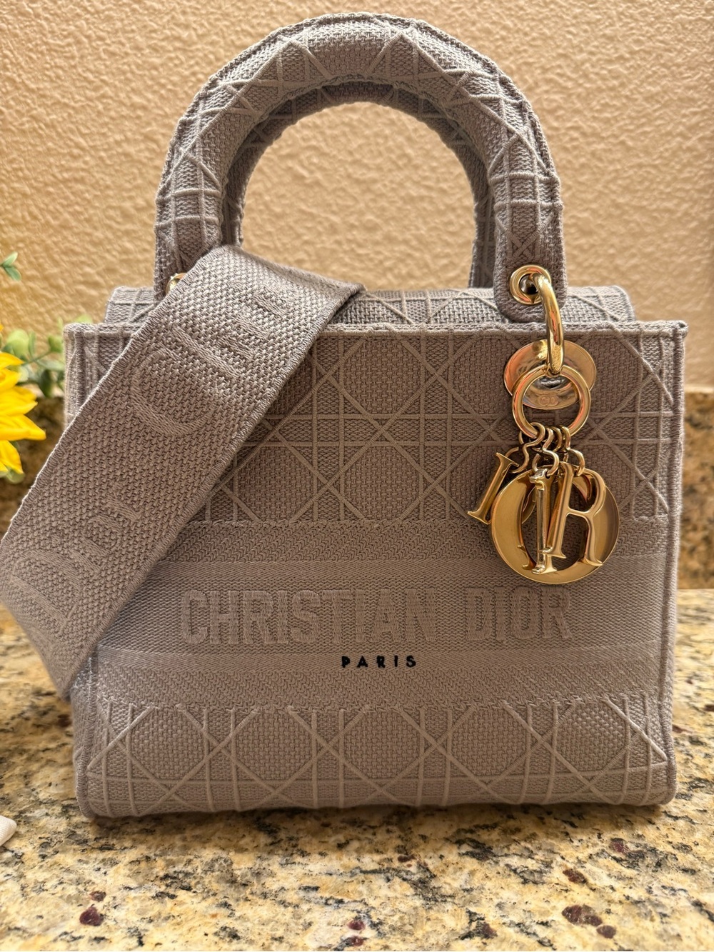 Stunning Christian Dior Lady D-Lite Medium Cannage Embroidered Bag Grey/Taupe